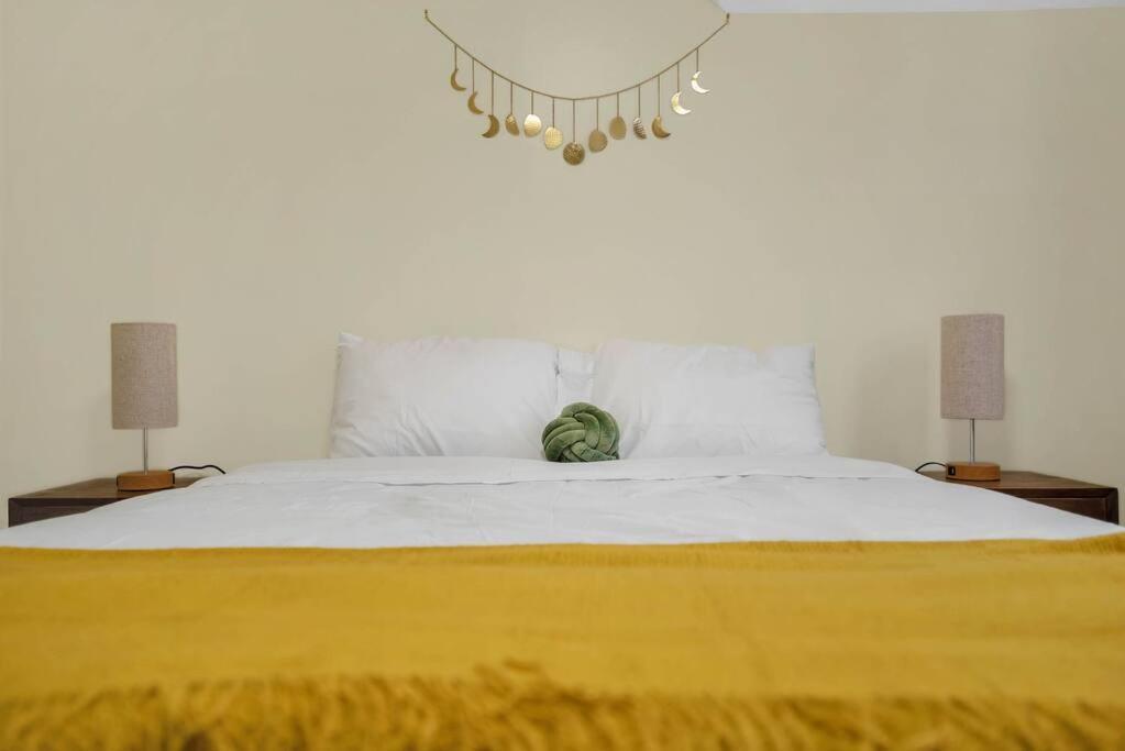 纽黑文Golden Gem In Heart Of East Rock Quiet 3Br Near Dt And Yale公寓 外观 照片
